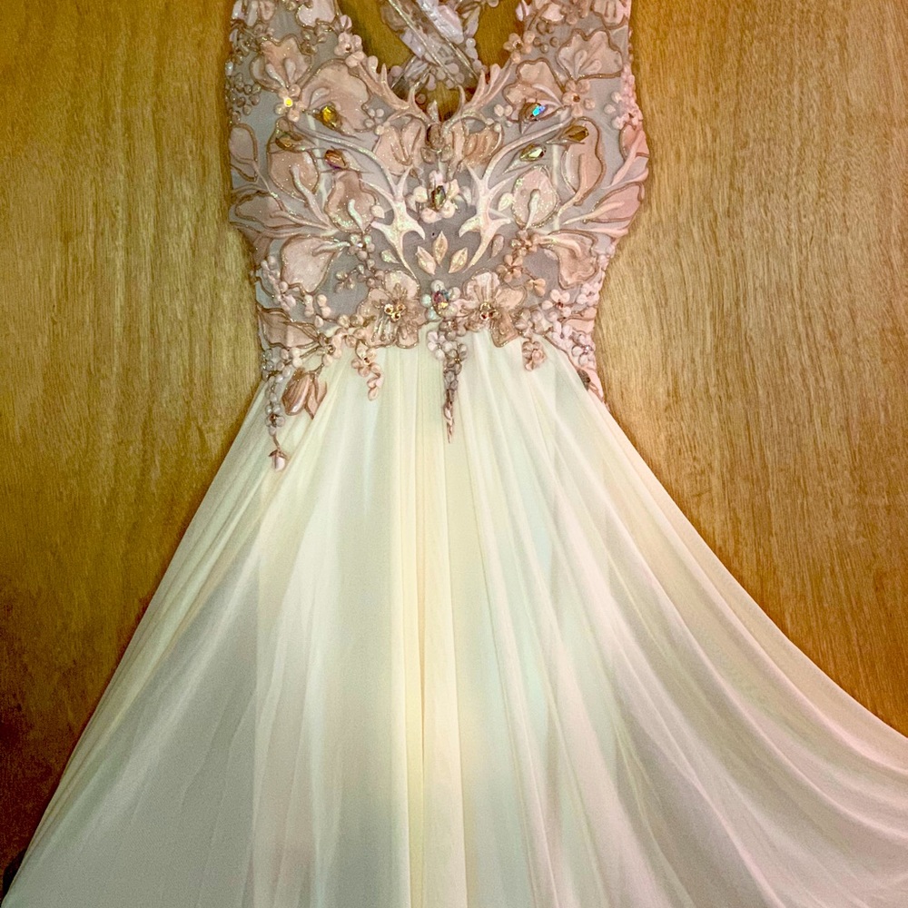 Ema Savahl Valiant Paris Hand Painted Gown